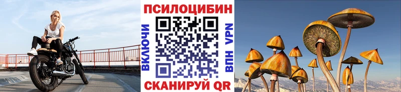 Купить где  Хотьково  Псилоцибиновые грибы Magic Shrooms 